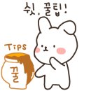 홀리아로마스튜디오