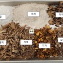 365소통한의원 이미지