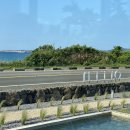 정혜목장 | 5월 제주도 여행 ✈️