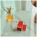 다이소 데일리콤마 벨로 드 퍼퓸 고체 향수 머스크던 디어로지 신제품 사용후기