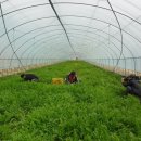 좋은영농조합법인 이미지