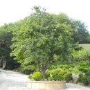 화지청소년문화회관 이미지