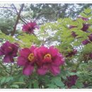 연님이네집 이미지