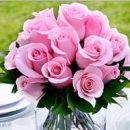 요즘은 트롯트 시대가 도래한것 같습니다 이미지