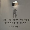 티어하임 동물병원 | 티어하임동물병원