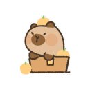 토성어린이공원 이미지