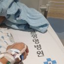 3D앤플라이 | 담낭제거수술 결심과 후기