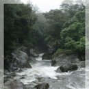 하원동 탐라왕자묘 이미지