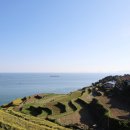 금산 활력의집 이미지