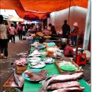 함평5일시장 이미지