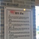 광주 광산구 신가동/신창동 [남포네] 내돈내먹 옻닭 최고건강맛집 솔직후기