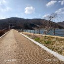 정옥민 박사 테라 면역 센터 | 화순 3월 주요소식안내