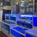 철따라 횟집 | [청주맛집]복대동 횟집 내돈내산 고소한 두툼 대방어 맛집 ‘철따라해물’ 후기