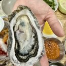 어사출또이수역점 | 이수) 이수역 어사출또 횟집 방문기 (내돈내산 솔직후기)