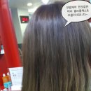 샤인 헤어칼라