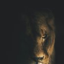 구명한의원 이미지