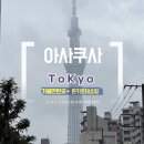 샤론화장품 - 도봉구 도봉로110라길 70-14 | 도쿄여행 아사쿠사 돈키호테 쇼핑리스트 동전파스 샤론파스 로키소닌 가격