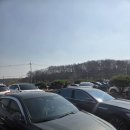 인주노랑옥수수찐빵 | [이천 산수유축제] 26년 3월 개화_ 산수유마을 실시간 개화 상황, 주차, 주변 꼭 가야할 찐빵 맛집