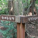 편백숲,쉼 이미지