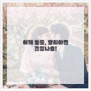 연세강인병원 이미지