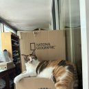 붕붕나라세차장 이미지