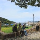 섬마을민박 이미지