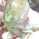 다라니펜션 이미지