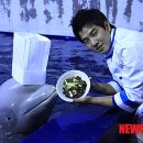 아쿠아플라넷 여수 이미지