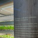 팜스픽 이미지