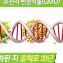 옥자푸드