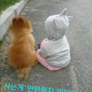 베이비북어린이서점