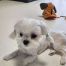 개린이 집합소 이미지