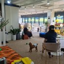 2023 식품접객업소 기존영업자 위생교육 | 애견 동반 카페 창업, 이제 법적 테두리 내에서!