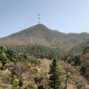 천마산농장 이미지