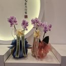 연한정식 이미지