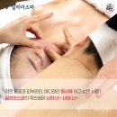 달리아 이미지