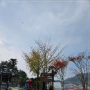 천대국치길 이미지