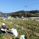 파지리경로당 이미지