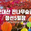 당일치기 단풍구경 오대산 월정사 전나무숲길 &amp; 정선5일장