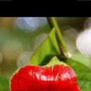 갈산고등학교 이미지