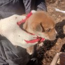 용계1리 이미지