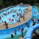 천동물놀이장 이미지