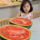 달감마트 이미지