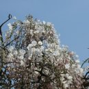 무안북중학교 이미지