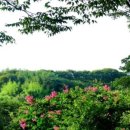 나산실업