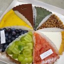 파이달램 이미지