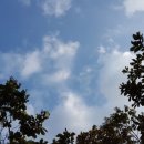 행정사사무소 정평 이미지