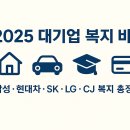 씨제이올리브영(주)대전죽동점 | 2025년 국내 대기업 직원 복지제도 총정리(삼성/현대차/SK/LG/CJ)