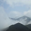 석남농장 이미지