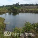 남북급수 이미지